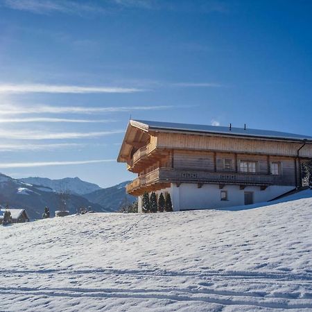 Chalet Apartment Obermanzl Hopfgarten im Brixental Exteriér fotografie