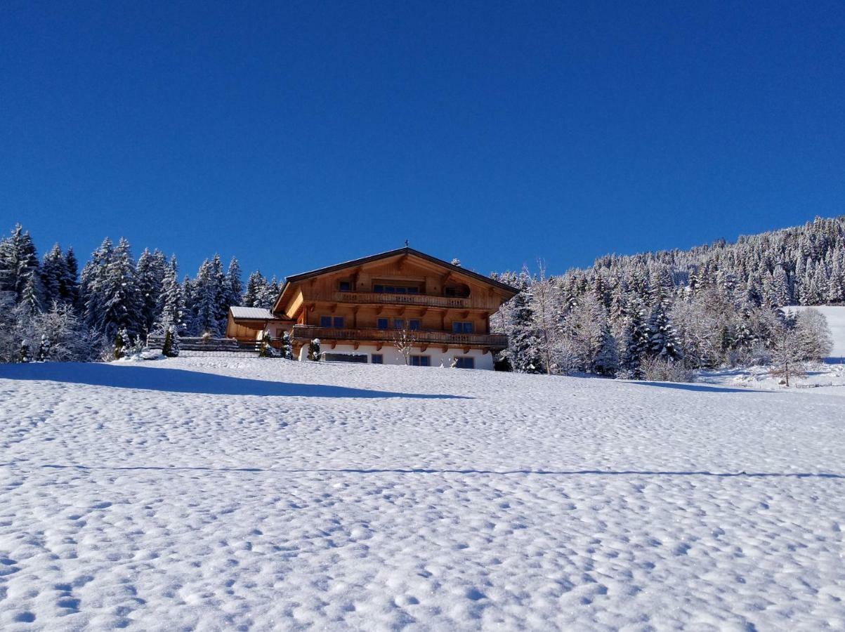 Chalet Apartment Obermanzl Hopfgarten im Brixental Exteriér fotografie